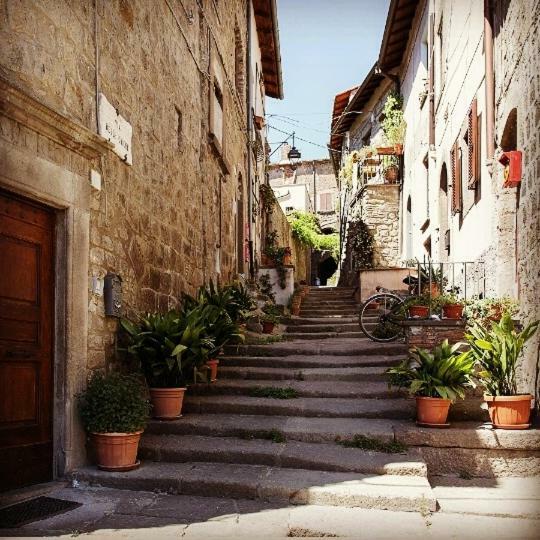 Residenza Turistica Di Via Delle Caiole 32 Viterbo Вітербо Екстер'єр фото